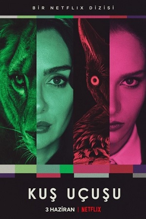 Download As the Crow Flies (Season 1 – 3) Dual Audio {Hindi-English} WEB-Series 720p | 1080p NF WEB-DL Download As the Crow Flies (Season 1 – 3) Dual Audio {Hindi-English} WEB-Series 720p | 1080p NF WEB-DL