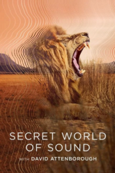 Download Secret World of Sound with David Attenborough – S01 (2024) Dual Audio {Hindi-English} WEB-Series 720p & 1080p WEB-DL Download Secret World of Sound with David Attenborough – S01 (2024) Dual Audio {Hindi-English} WEB-Series 720p & 1080p WEB-DL