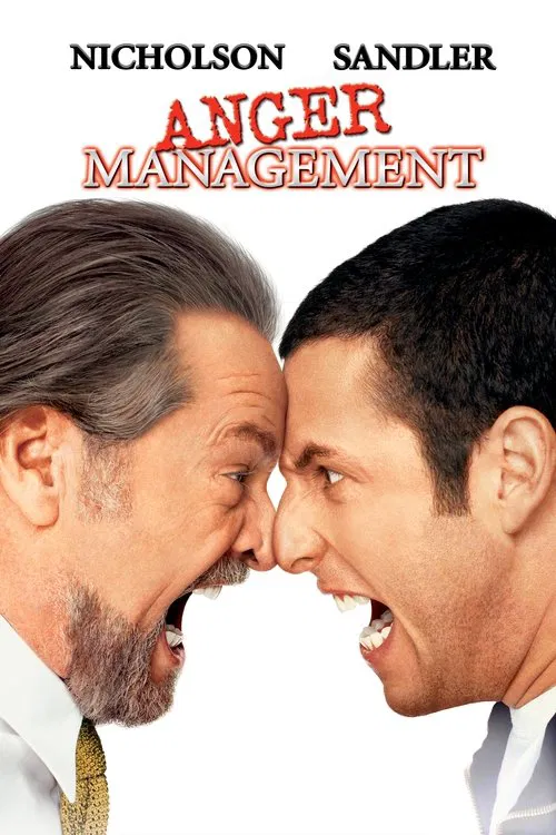 Download Anger Management (2003) BluRay Dual Audio {Hindi-English} 480p [400MB] | 720p [1GB] | 1080p [2GB]