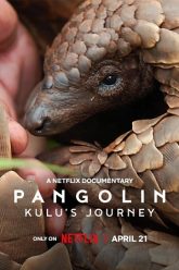 Pangolin-Kulus-Journey